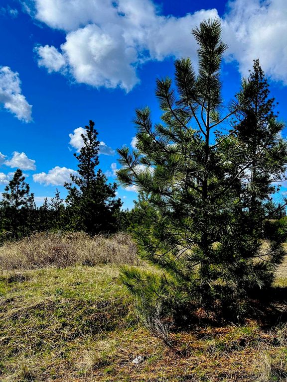 34430 Partridge N Ln, Davenport, WA 99122 photo 10