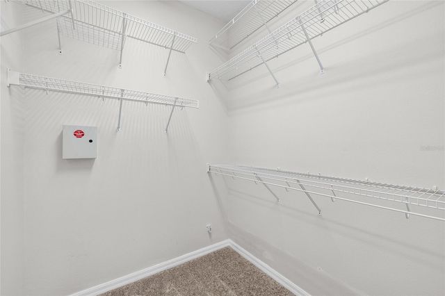 10422 MULLIGAN COURT, Tampa, FL 33647