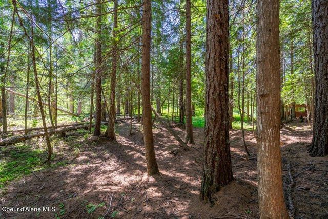 Lot 3 Brown Bear Dr, Nordman, ID 83848