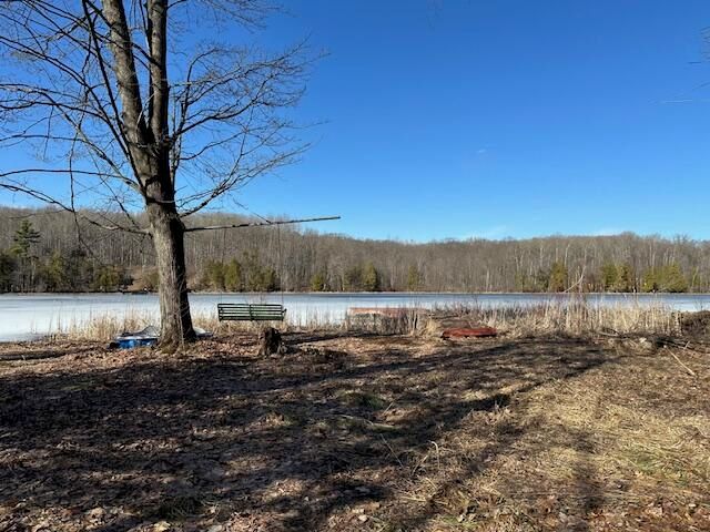 5993 Crepin Lane, Hesperia, MI 49421