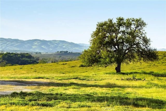 6685 El Pomar Drive, Templeton, CA 93465