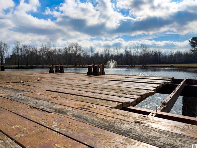 91 Sanders Lane, Mayfield, KY 42066