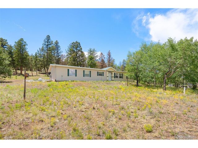 1855 Windmill Dr, Hartsel, CO 80449