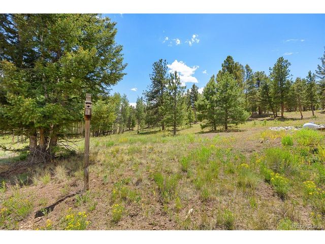 1855 Windmill Dr, Hartsel, CO 80449