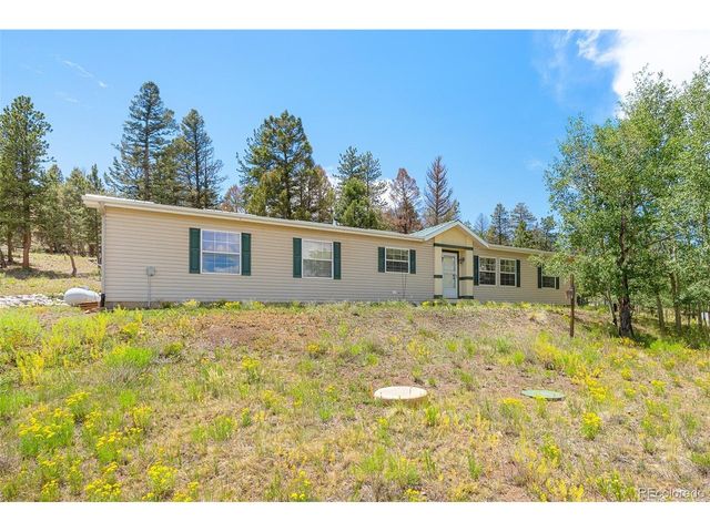 1855 Windmill Dr, Hartsel, CO 80449