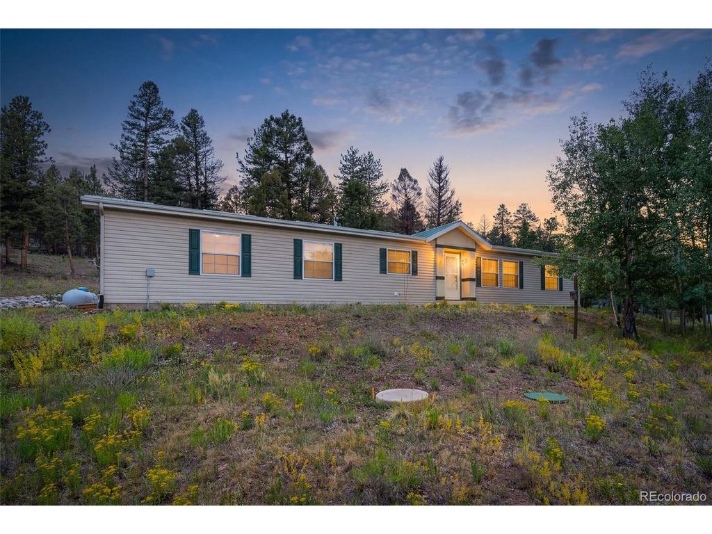 1855 Windmill Dr, Hartsel, CO 80449