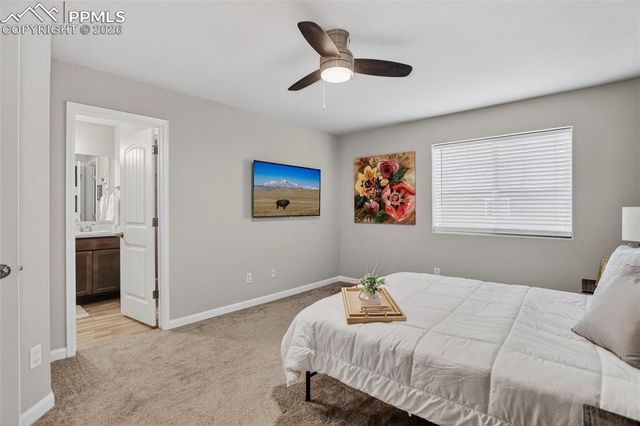 4026 Tiberias Point, Colorado Springs, CO 80916