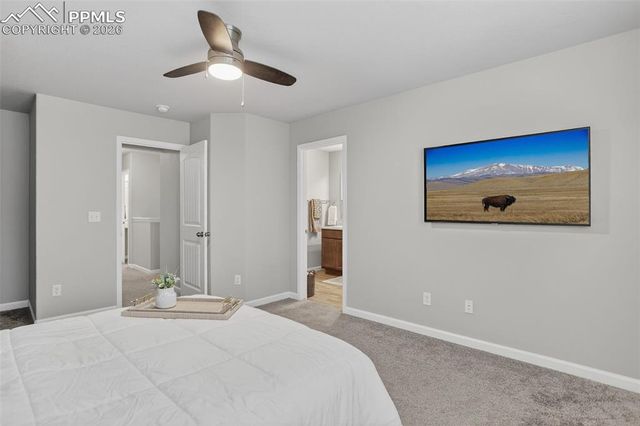 4026 Tiberias Point, Colorado Springs, CO 80916