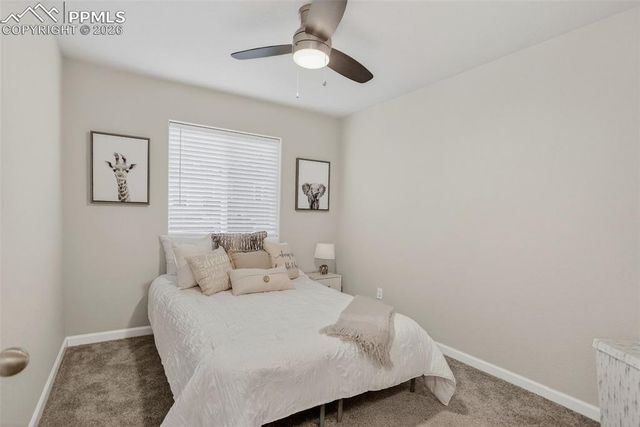 4026 Tiberias Point, Colorado Springs, CO 80916