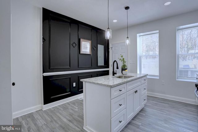 1729 BRADDISH AVE, Baltimore, MD 21216