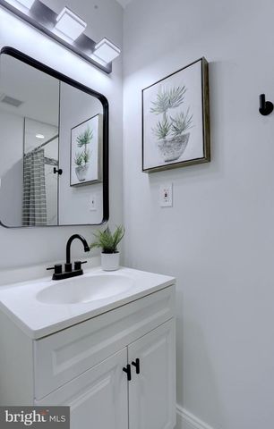 1729 BRADDISH AVE, Baltimore, MD 21216