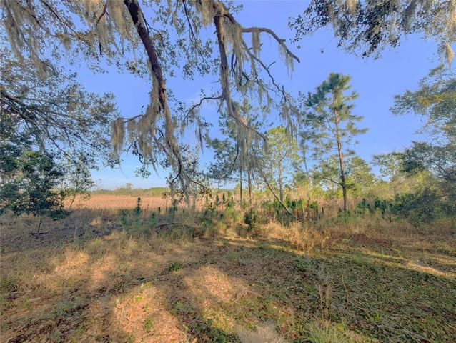 446 LONG AND WINDING ROAD, Howey In The Hills, FL 34737