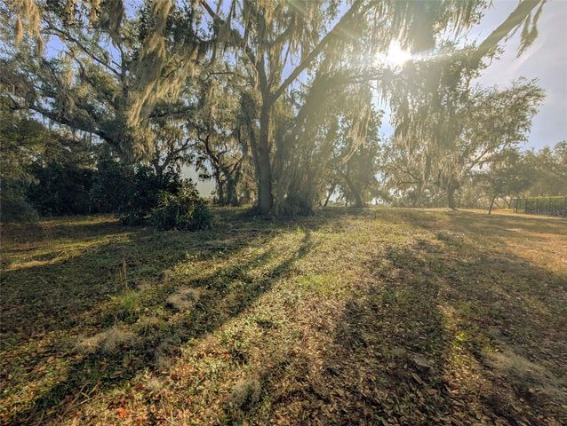 446 LONG AND WINDING ROAD, Howey In The Hills, FL 34737