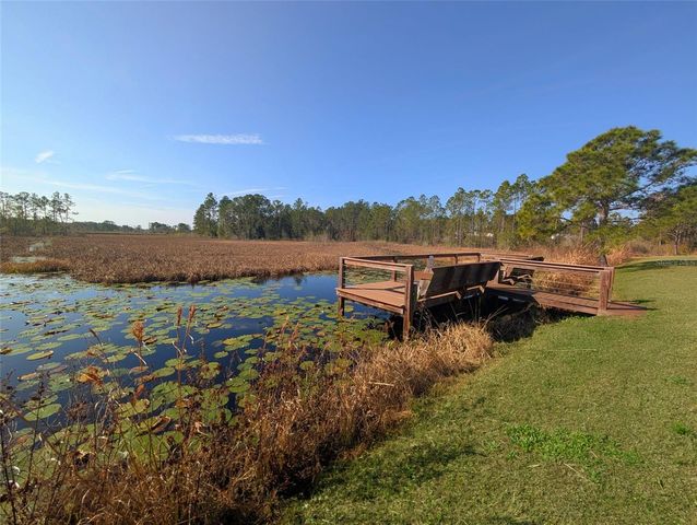 446 LONG AND WINDING ROAD, Howey In The Hills, FL 34737