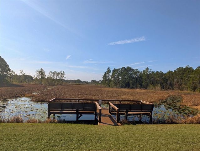 446 LONG AND WINDING ROAD, Howey In The Hills, FL 34737
