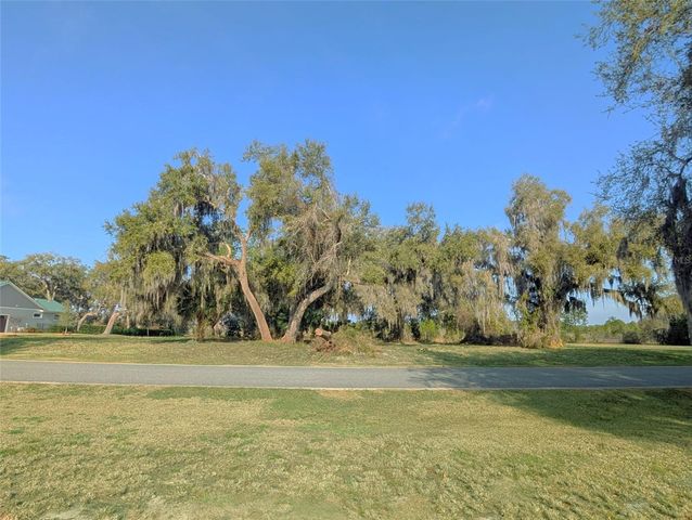 446 LONG AND WINDING ROAD, Howey In The Hills, FL 34737