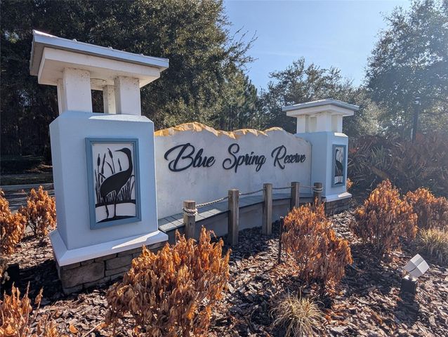 446 LONG AND WINDING ROAD, Howey In The Hills, FL 34737