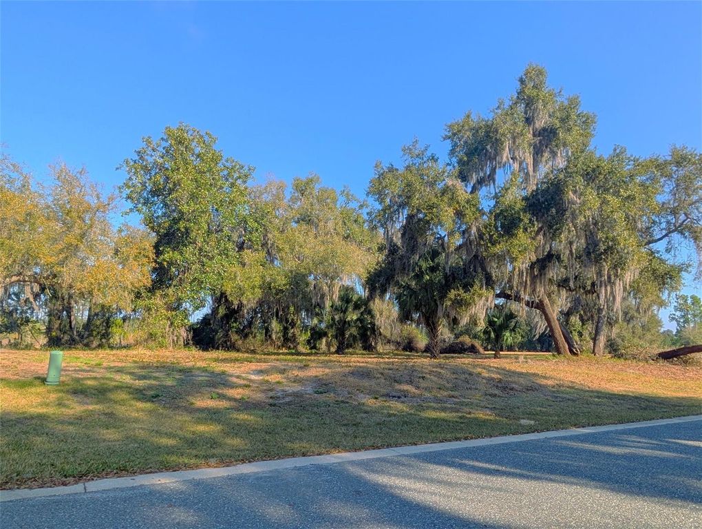 446 LONG AND WINDING ROAD, Howey In The Hills, FL 34737