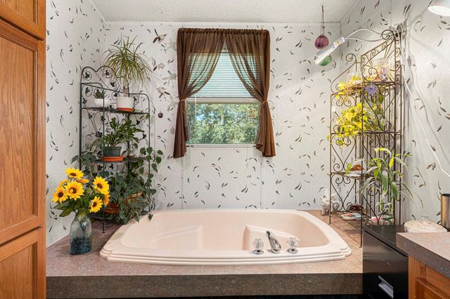 220 Clydesdale DR, Dale, TX 78616