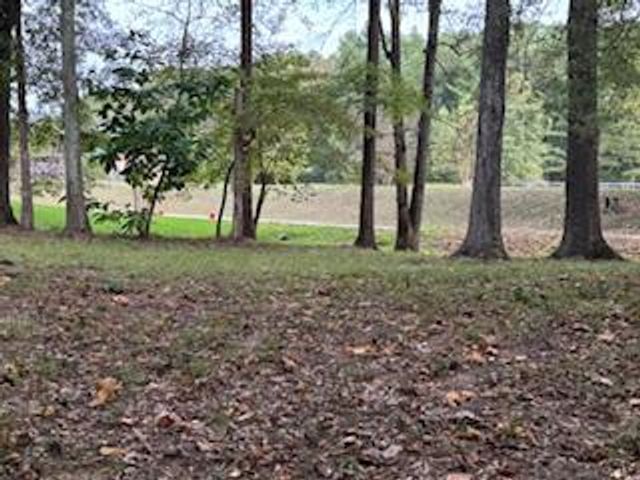 160 Tree Frog Lane, Benton, TN 37307