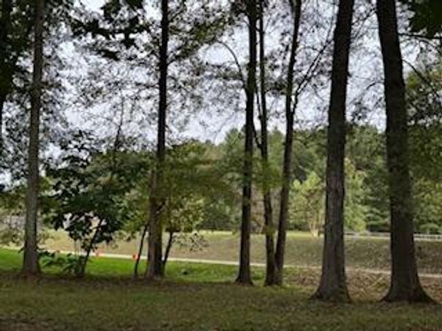 160 Tree Frog Lane, Benton, TN 37307