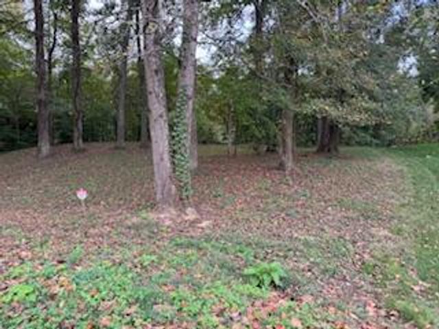 160 Tree Frog Lane, Benton, TN 37307