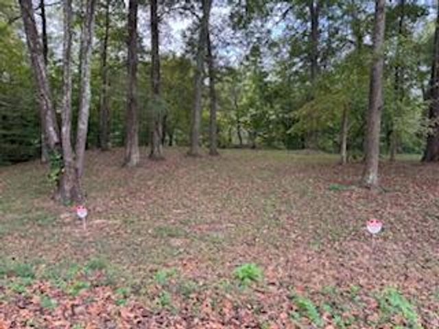 160 Tree Frog Lane, Benton, TN 37307