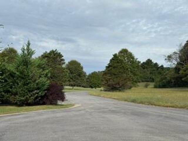 160 Tree Frog Lane, Benton, TN 37307