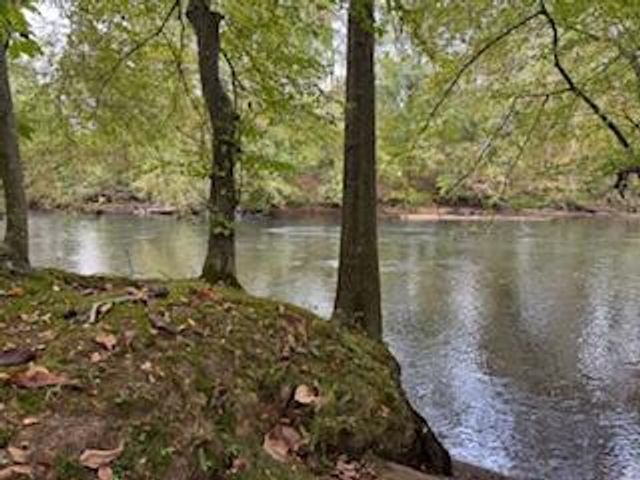 160 Tree Frog Lane, Benton, TN 37307