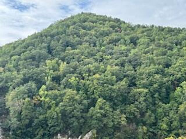 160 Tree Frog Lane, Benton, TN 37307