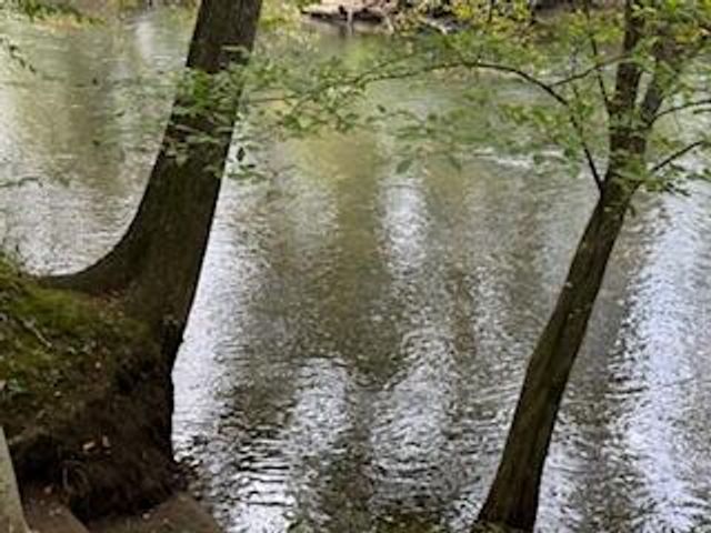 160 Tree Frog Lane, Benton, TN 37307