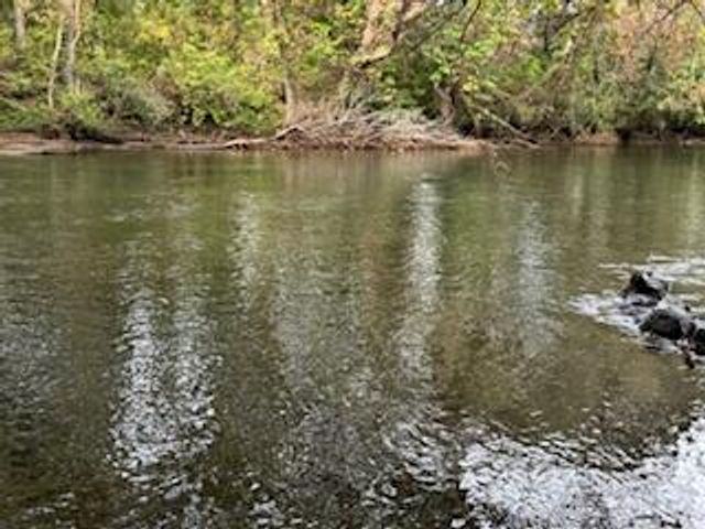 160 Tree Frog Lane, Benton, TN 37307