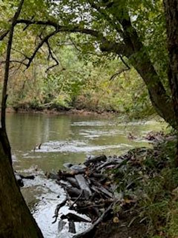160 Tree Frog Lane, Benton, TN 37307
