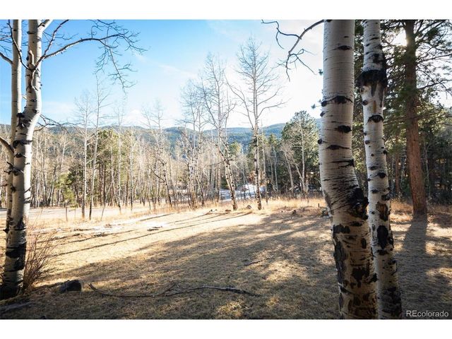 1362 Pine Valley Rd, Evergreen, CO 80439