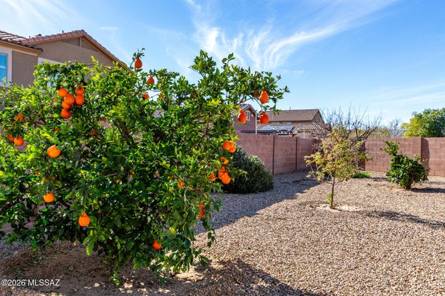1001 E Ashburn Mountain Drive, Sahuarita, AZ 85629