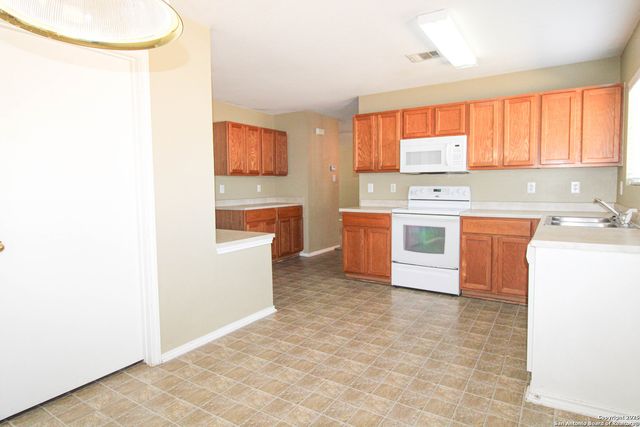 20823 Blue Trinity, San Antonio, TX 78259