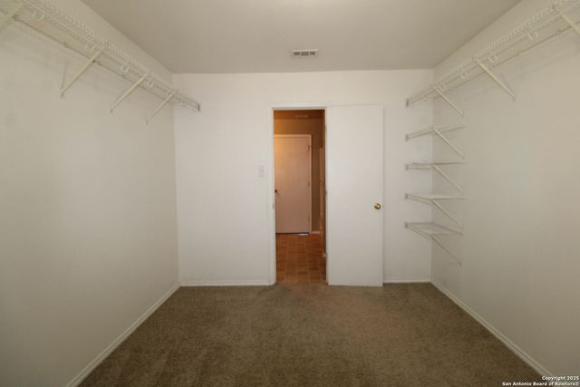 20823 Blue Trinity, San Antonio, TX 78259