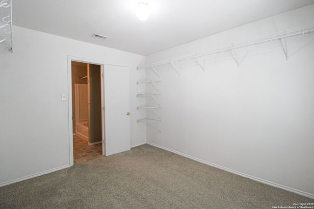 20823 Blue Trinity, San Antonio, TX 78259