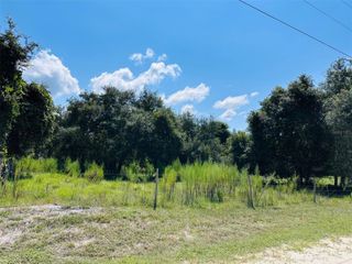00 NW 100 AVENUE, Chiefland, FL 32626