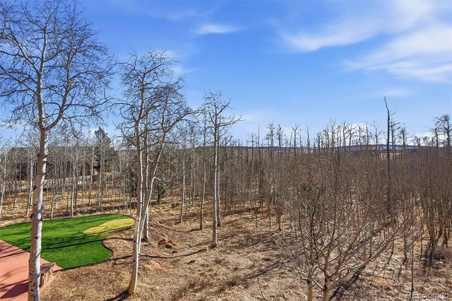 252 Iron Mountain Road, Fairplay, CO 80440