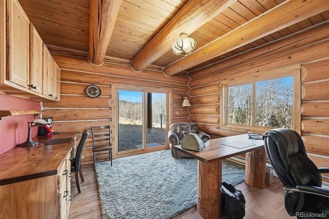 252 Iron Mountain Road, Fairplay, CO 80440