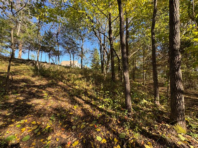 1770 Clouse Road, Macomb, MO 65702