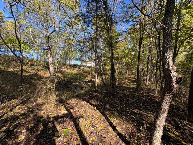 1770 Clouse Road, Macomb, MO 65702