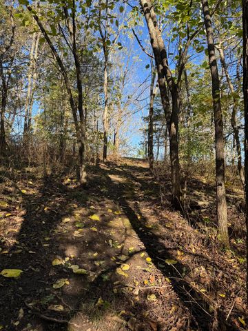 1770 Clouse Road, Macomb, MO 65702