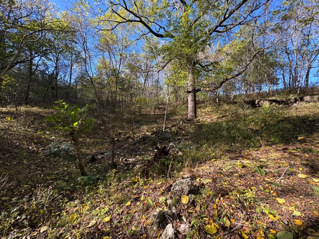 1770 Clouse Road, Macomb, MO 65702