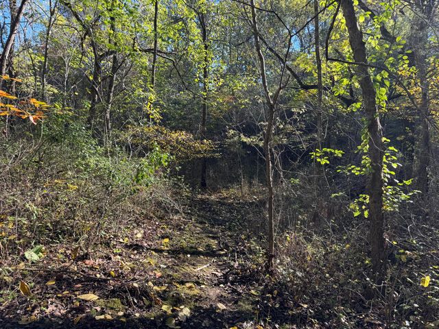 1770 Clouse Road, Macomb, MO 65702