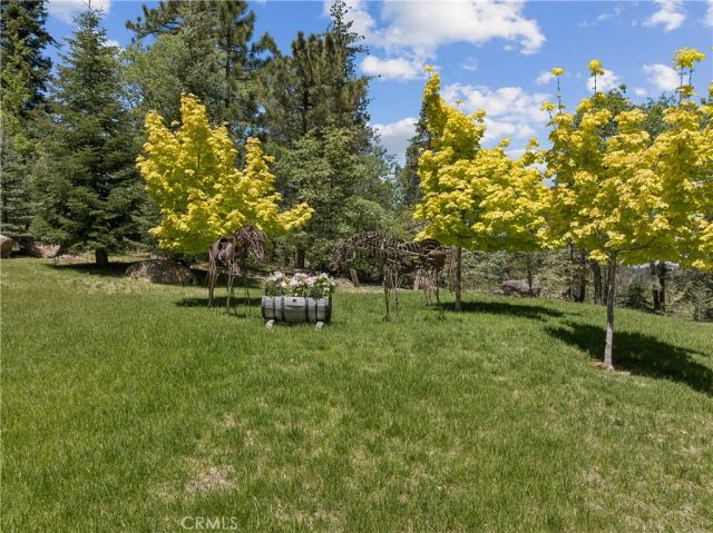 32310 Hummingbird Court, Running Springs, CA 92382