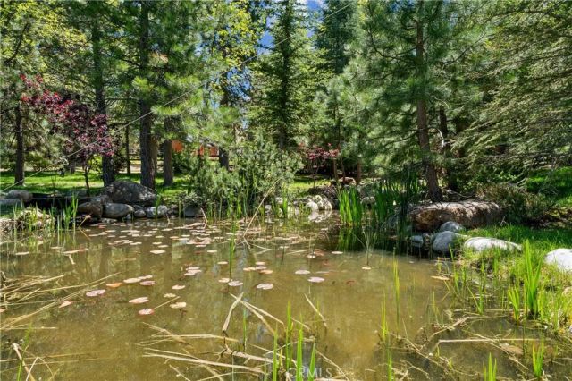 32310 Hummingbird Court, Running Springs, CA 92382