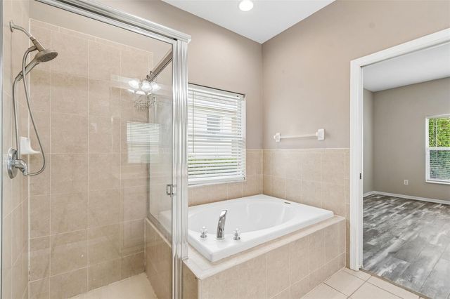 3553 MORGANS BLUFF COURT, Land O Lakes, FL 34639