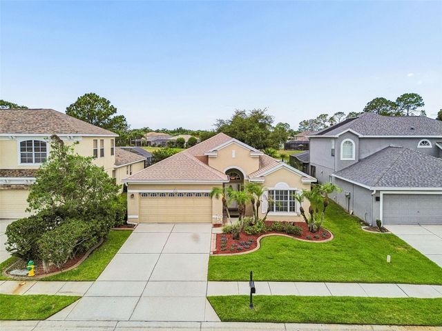 3553 MORGANS BLUFF COURT, Land O Lakes, FL 34639